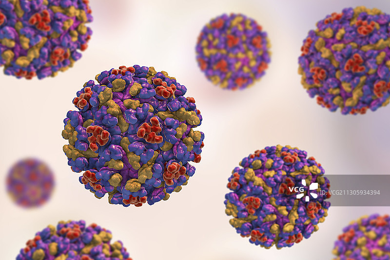 东部马脑炎病毒，说明图片素材