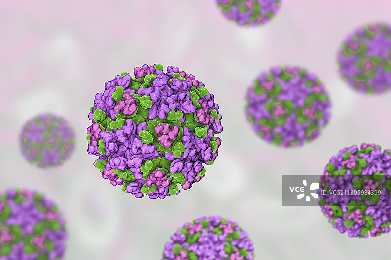 东部马脑炎病毒，说明图片素材