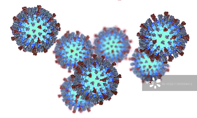 麻疹病毒插图图片素材