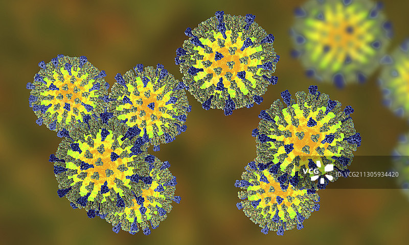 麻疹病毒插图图片素材