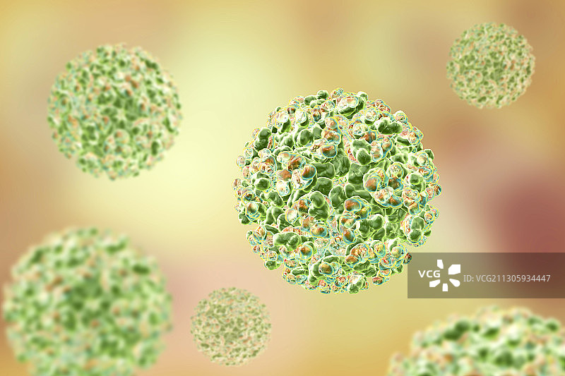 辛德毕斯病毒示意图图片素材