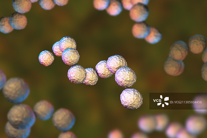 化脓性链球菌细菌，图示图片素材