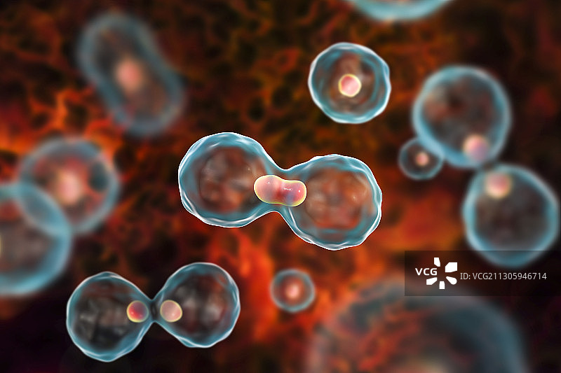 原子核分裂，图示图片素材