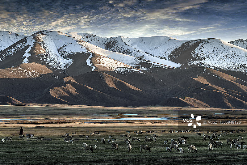 巩乃斯草原的雪山牧场图片素材