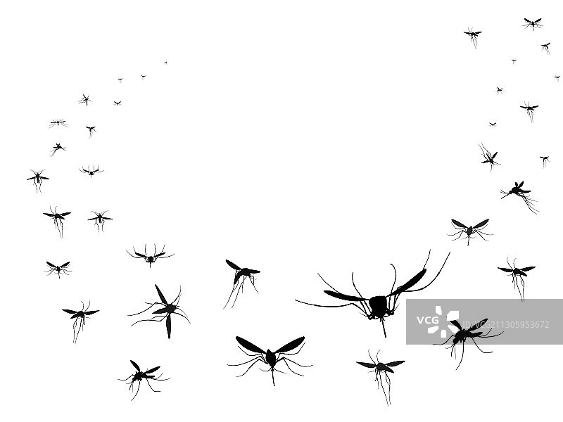 飞行蚊子剪影群图片素材
