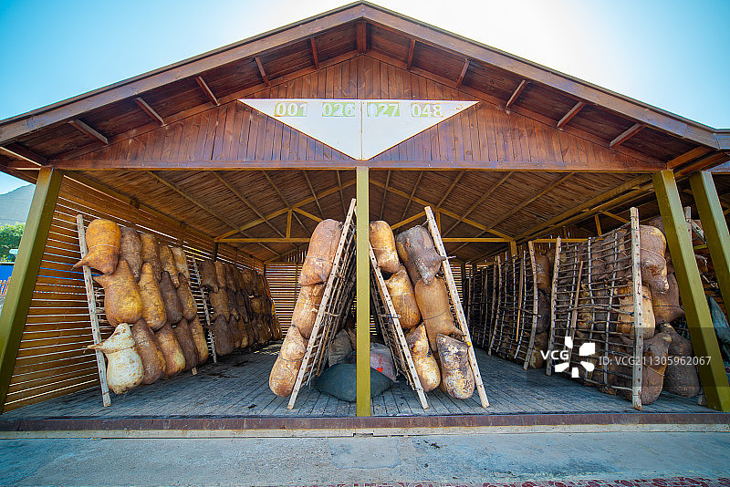 甘肃省白银市黄河石林羊皮筏子图片素材