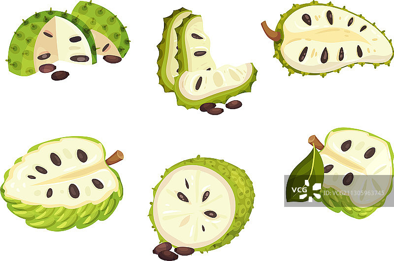 深绿色外皮的红毛榴莲果图片素材