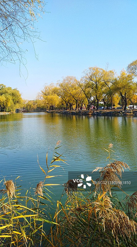 深秋的西堤图片素材