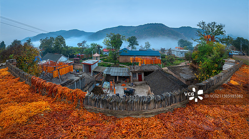 柿子加工红满村，乡村经济大发展图片素材