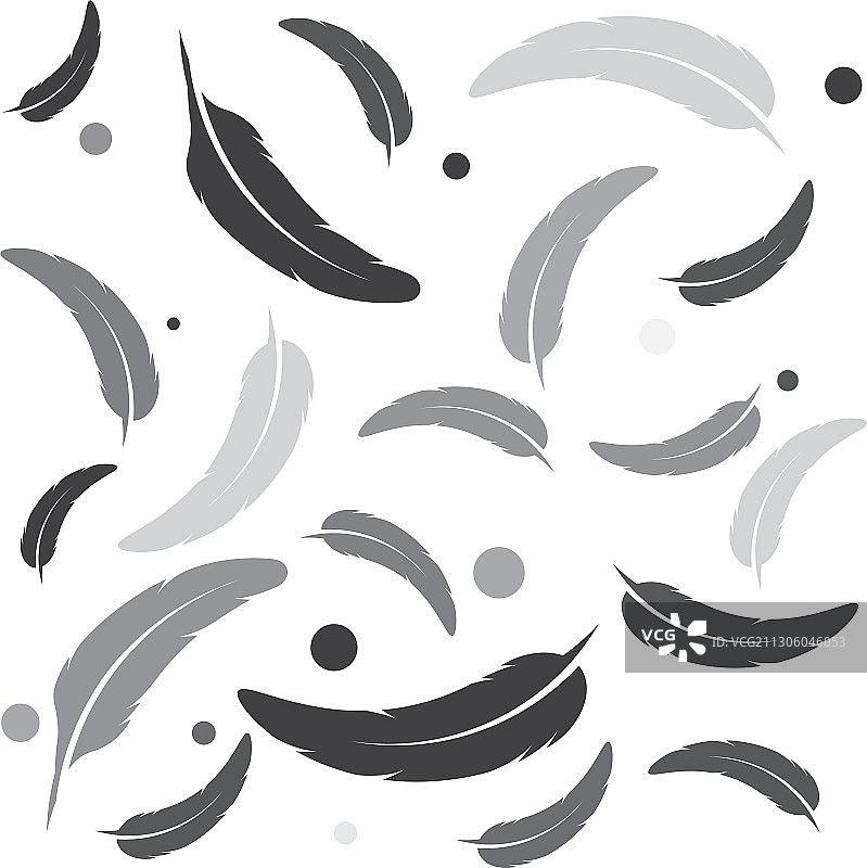 羽毛图标模板图片素材