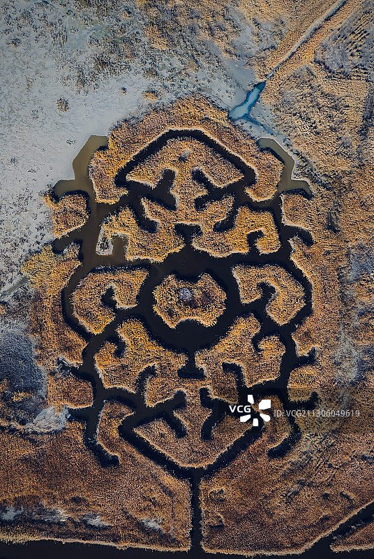 湿地中的秘境图片素材