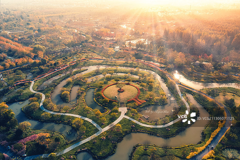 花开海上图片素材