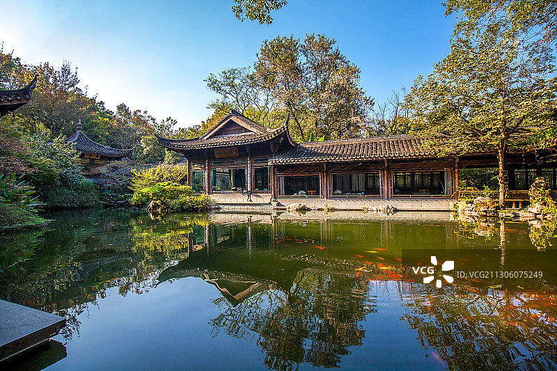 花港观鱼图片素材