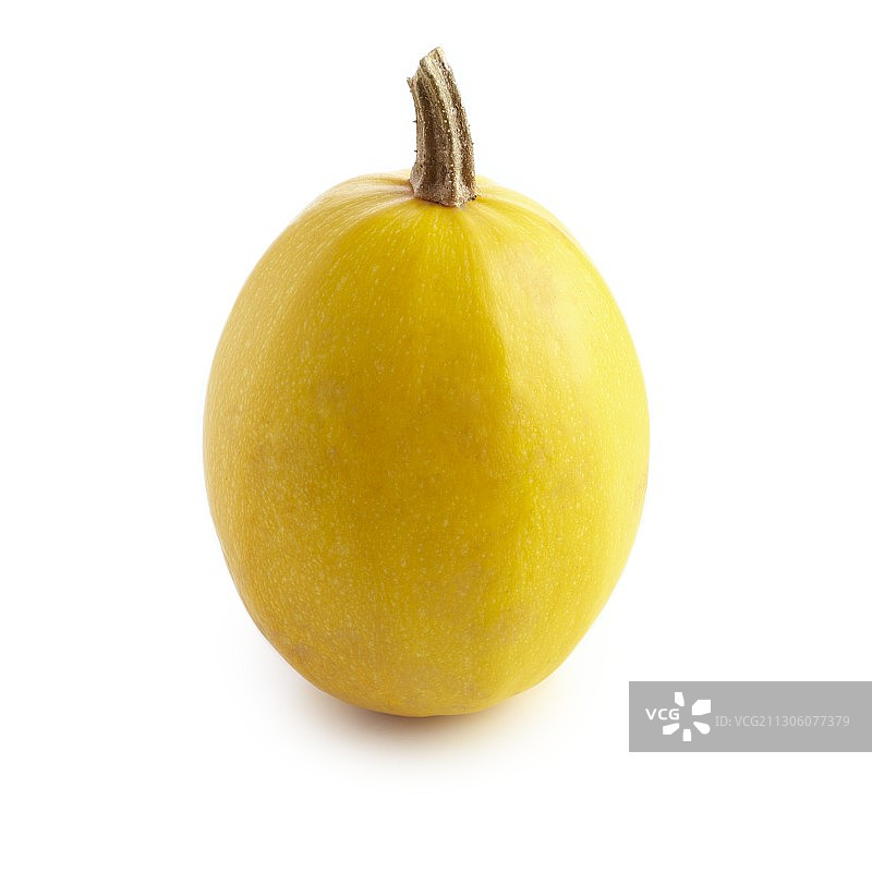 意大利面条南瓜图片素材