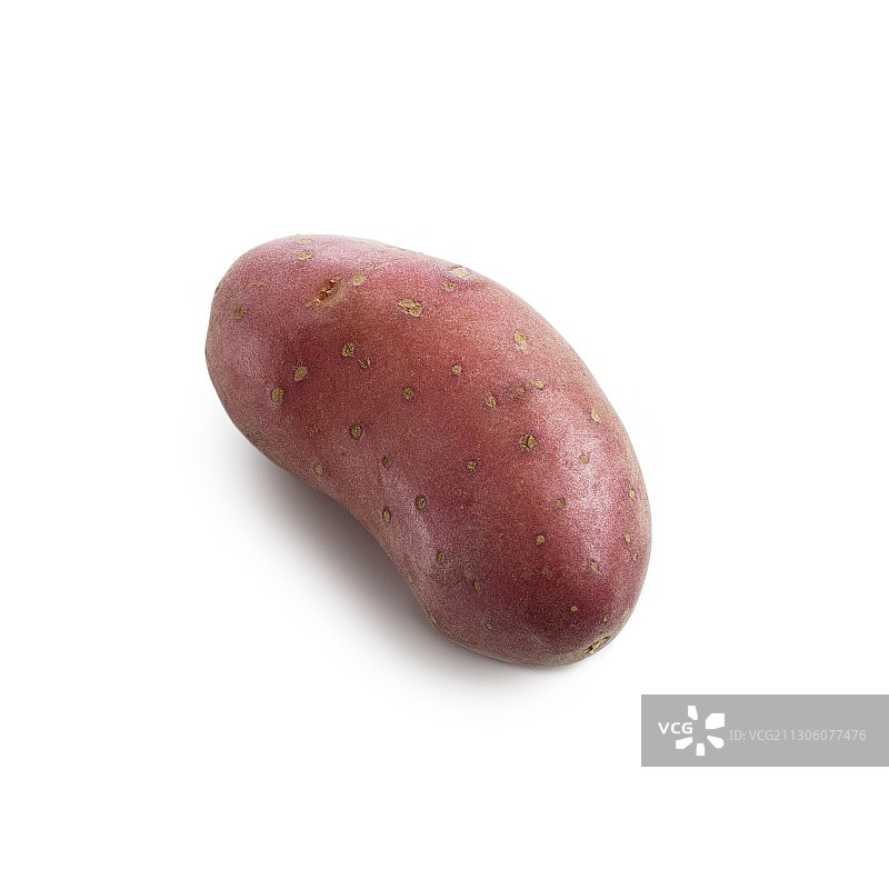 红皮土豆图片素材