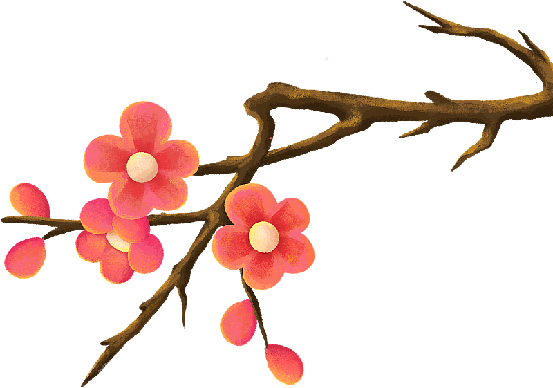 梅花手绘插画图片素材