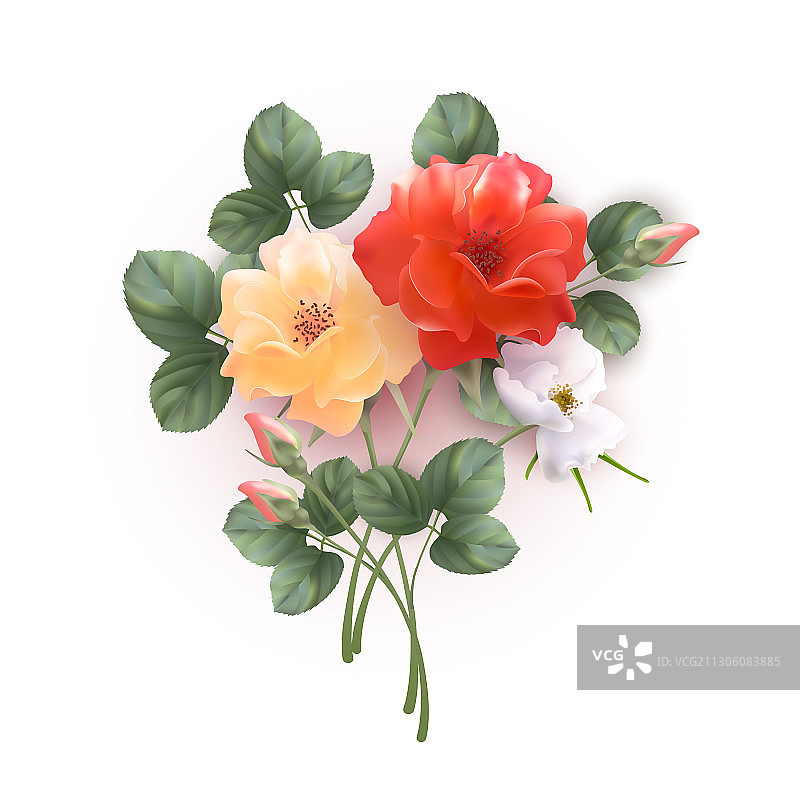 玫瑰花束图片素材