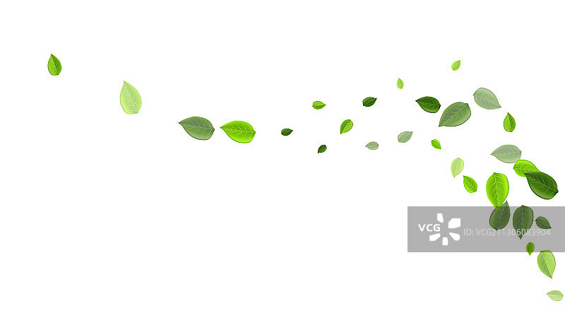 绿叶风枝茶叶图片素材