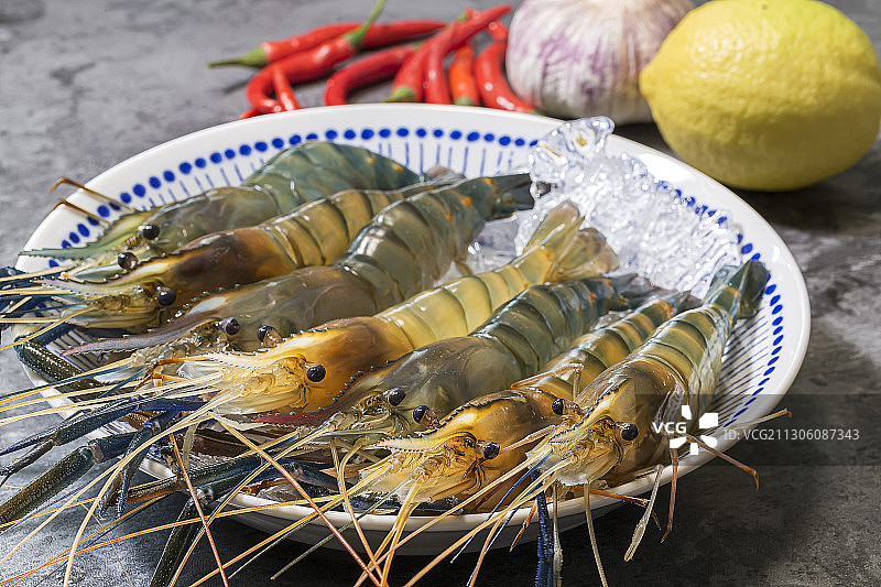 罗氏沼虾图片素材