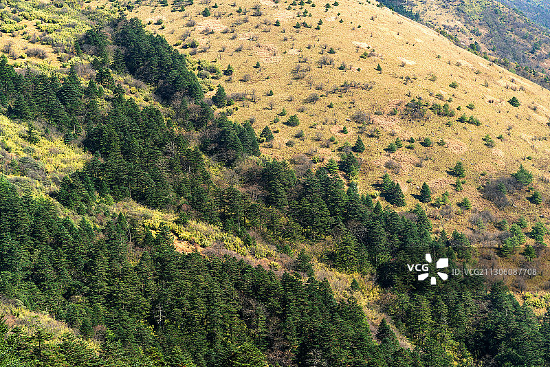 神农架高山草甸图片素材