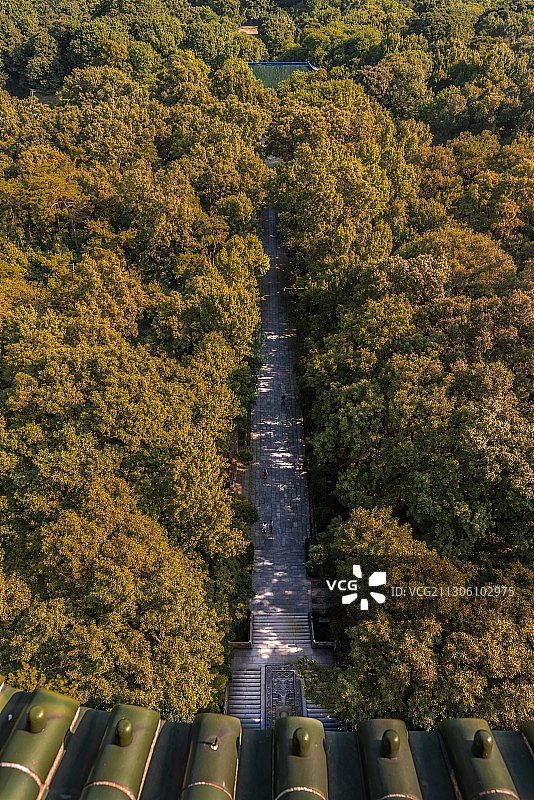 灵谷塔俯瞰钟山图片素材