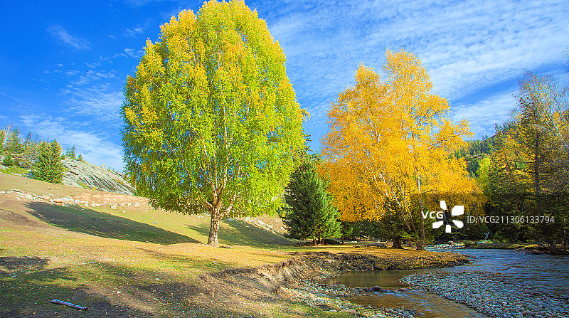 可可托海之秋图片素材