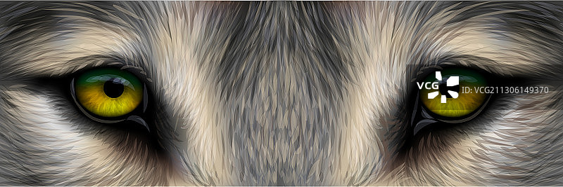 沃尔菲眼睛图片素材