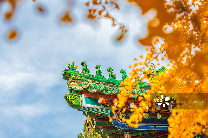 全国重点文物保护单位中国河南郑州市登封少林寺秋景户外风光图片素材