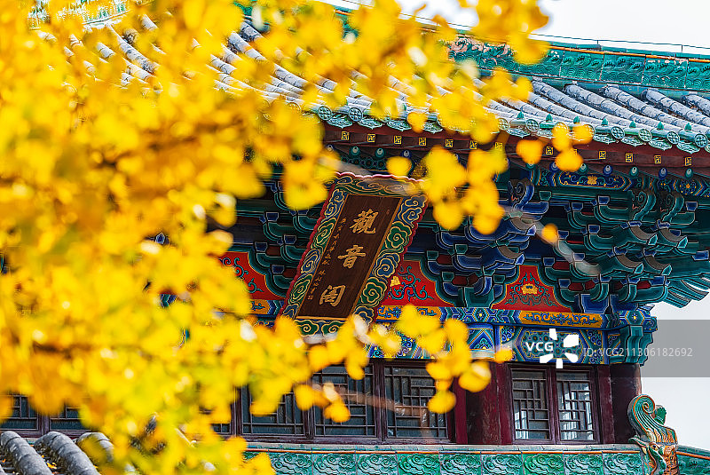 全国重点文物保护单位中国河南郑州市登封少林寺秋景户外风光图片素材