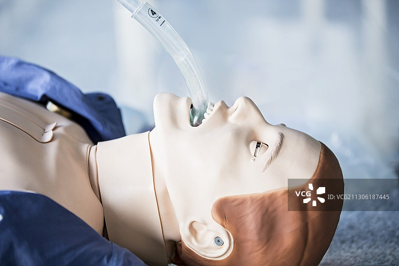 插管训练模型图片素材