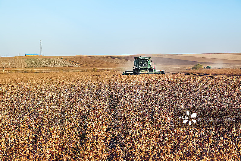 中国东北大兴安岭地区秋季收割机在农场秋收场景。图片素材