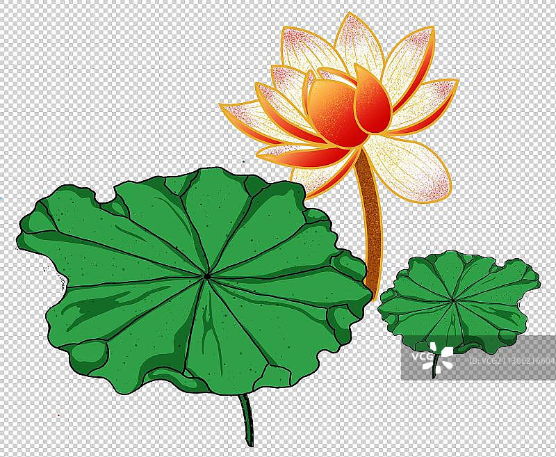 中国风工笔画 盛开的荷花图片素材