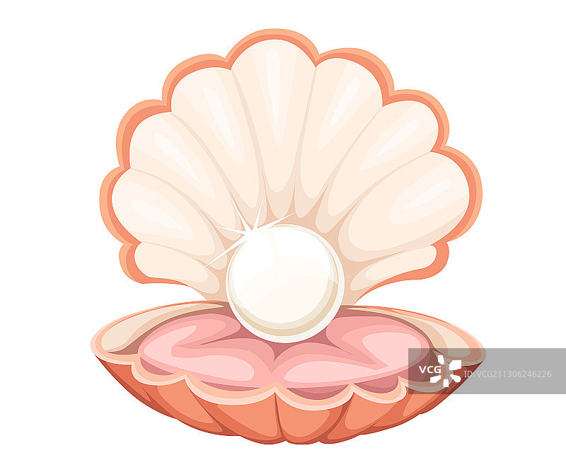 优质天然开放珍珠贝图片素材