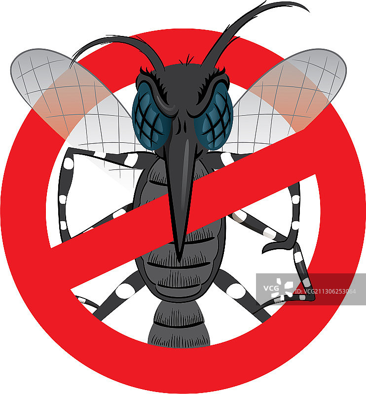 埃及伊蚊自然栖息地图片素材