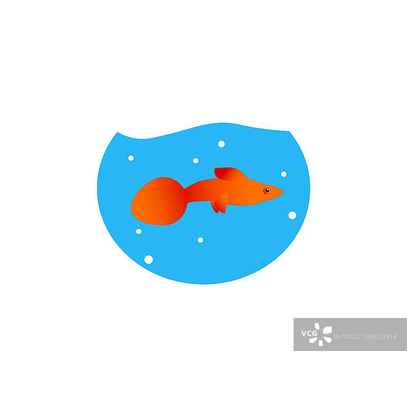 水族箱设计模板图片素材