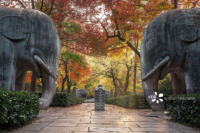 多彩石像路-南京秋色图片素材