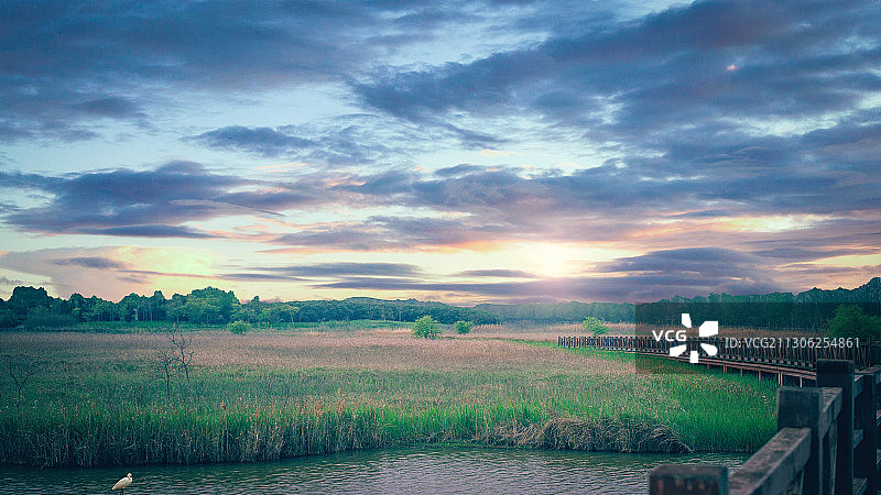 崇明东滩湿地的落日图片素材