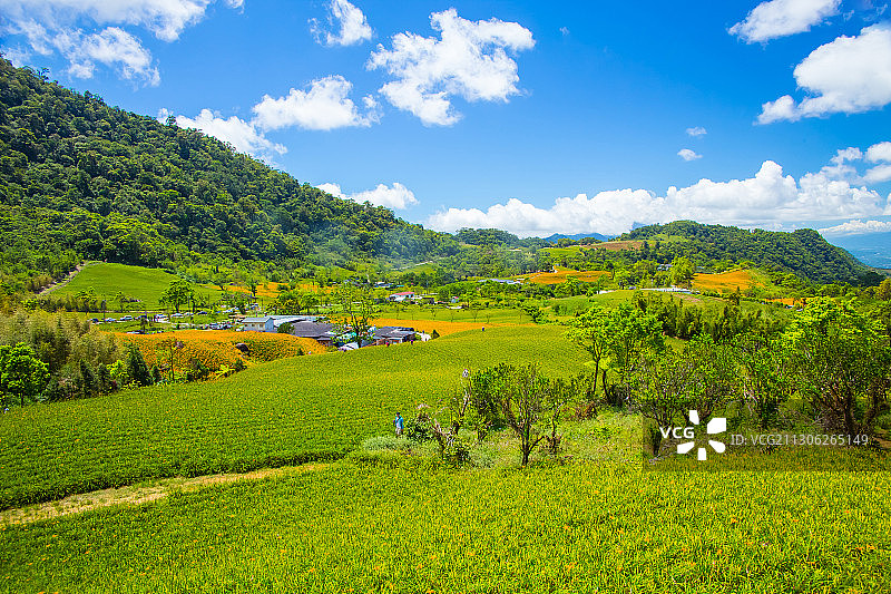 台湾花莲花东纵谷图片素材