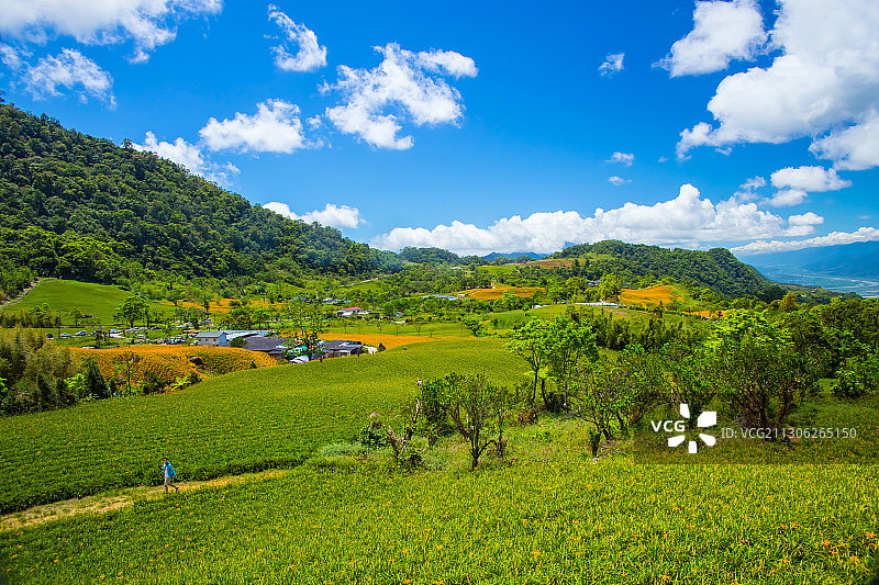 台湾花莲花东纵谷图片素材