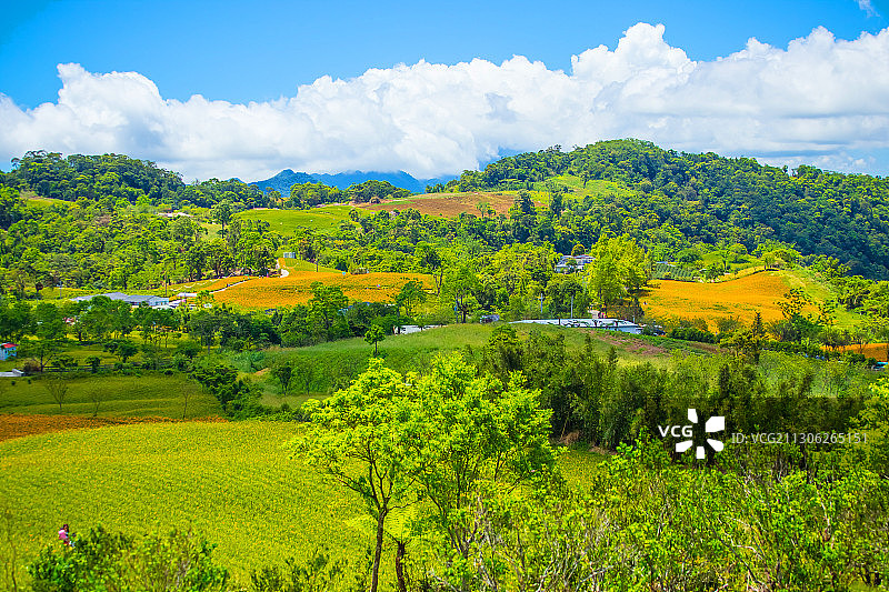 台湾花莲花东纵谷图片素材