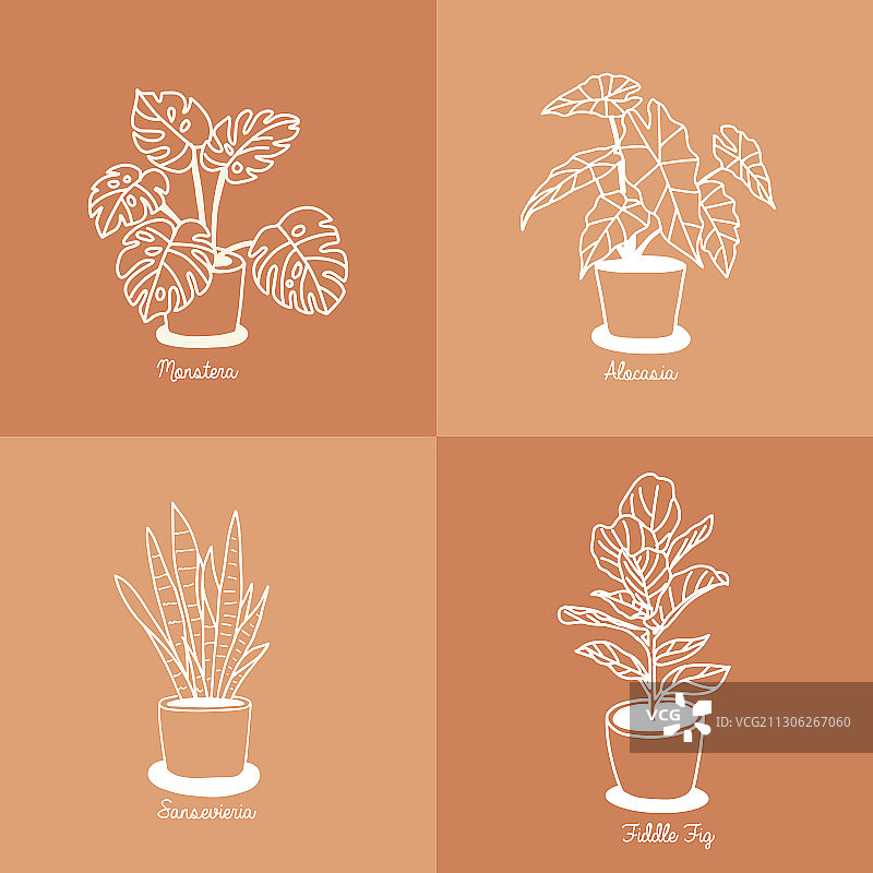 手绘盆栽植物图片素材