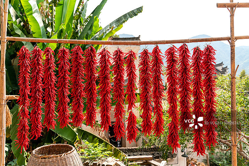 晾晒辣椒图片素材