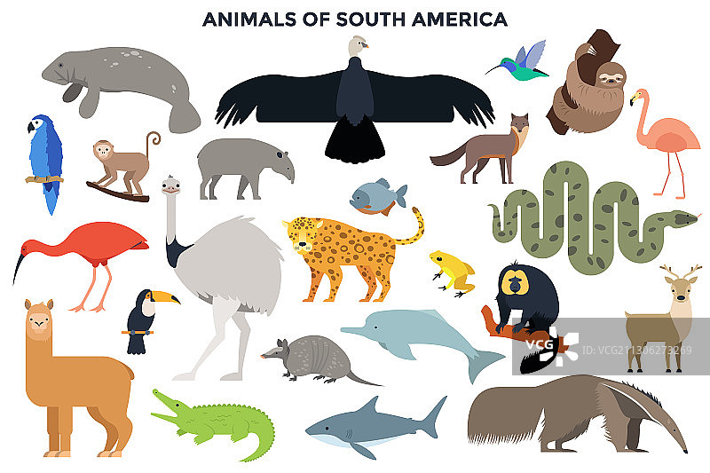 现代信息模板图片素材