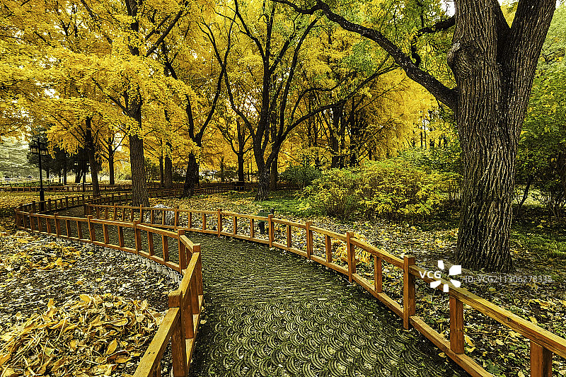 陶然秋色(01)图片素材