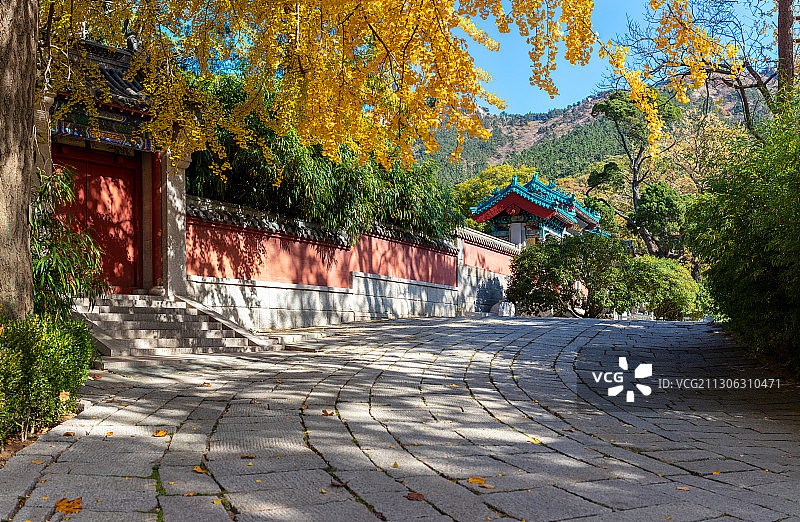 青岛崂山太清宫秋季日景图片素材