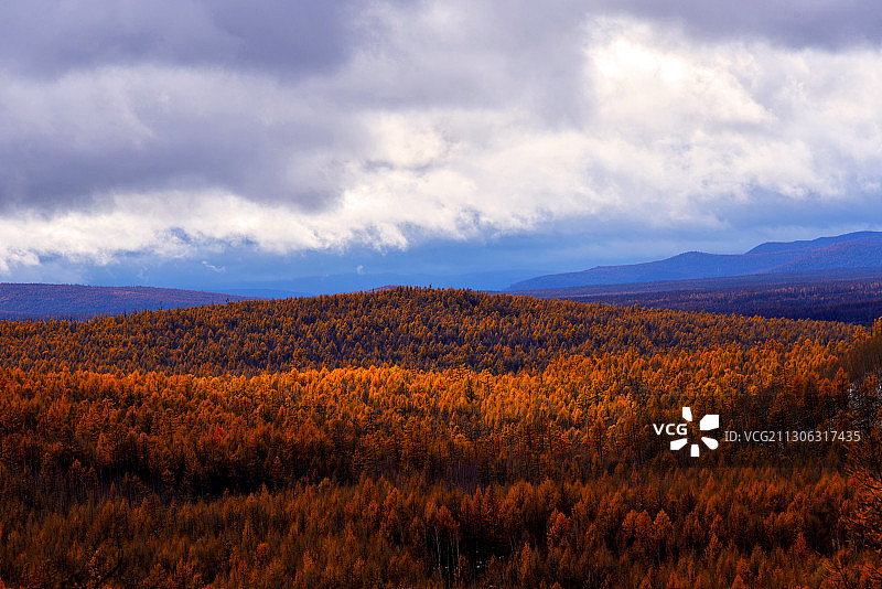 秋以闭关（阿尔山驼峰岭图片素材