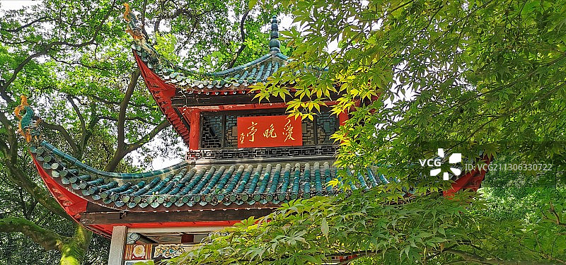 爱晚亭图片素材