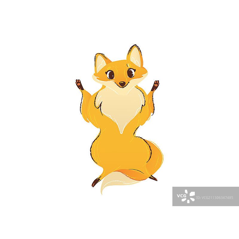 用前腿站立的狐狸正面照图片素材