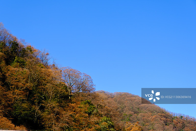 湖北省神农架国家公园神农顶图片素材