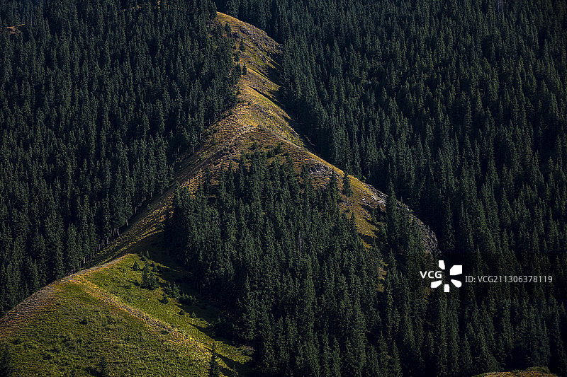 新疆南山牧场图片素材